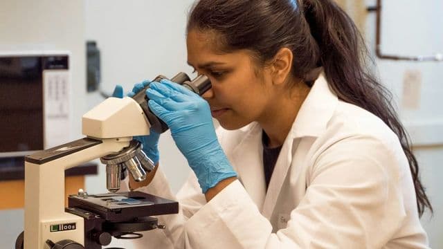 Biomédica analisando amostra em microscópio de laboratório