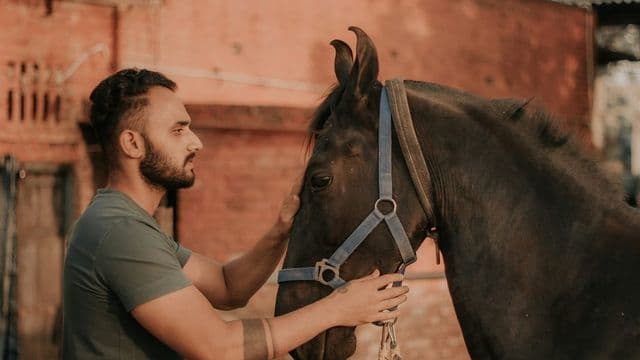 Médico veterinário examinando cavalo em clínica equina