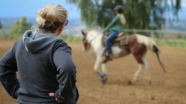 Instrutora acompanhando sessão de equoterapia com cavalo ao ar livre