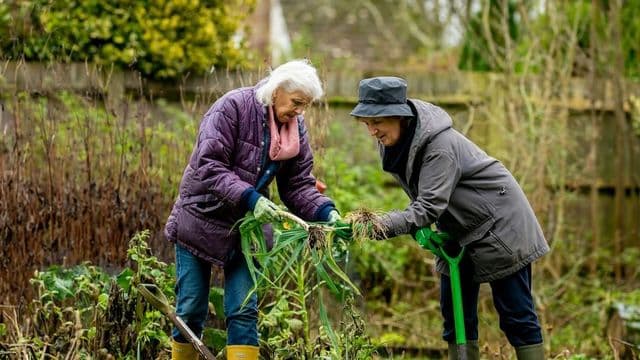 Duas mulheres idosas jardinando ao ar livre, ativas e saudáveis
